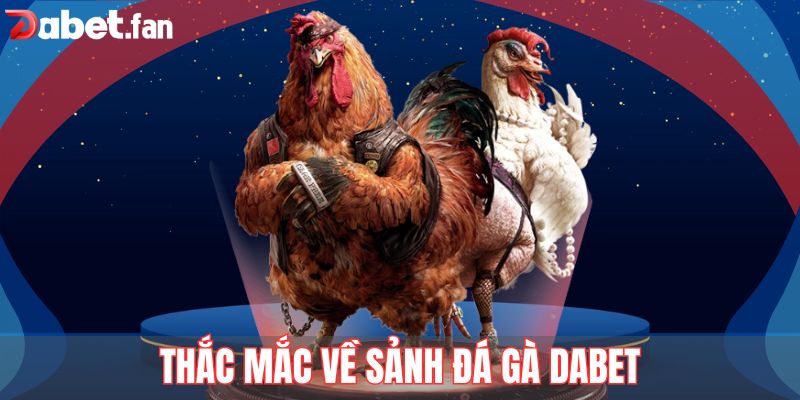 Thắc mắc về sảnh đá gà DABET