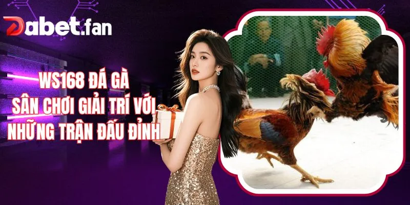 WS168 Đá Gà – Sân Chơi Giải Trí Với Những Trận Đấu Đỉnh